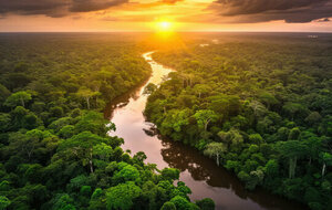 Carbet Danse Forro &amp; Bachata du 18/04/2026💃